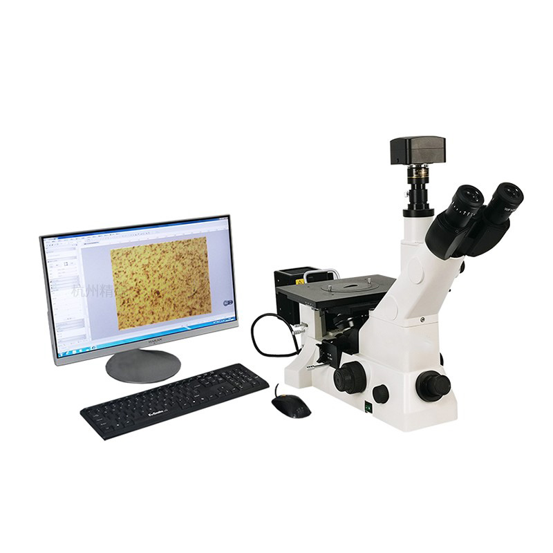 Microscopio metalográfico invertido MS900/MS600/MM600