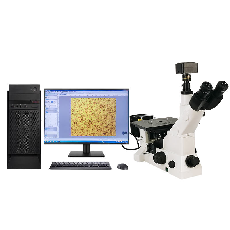 Microscopio metalográfico invertido MS900/MS600/MM600 Microscopio metalográfico invertido MS900/MS600/MM600